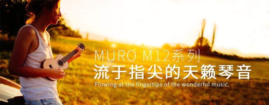 流于指尖的天籁之音